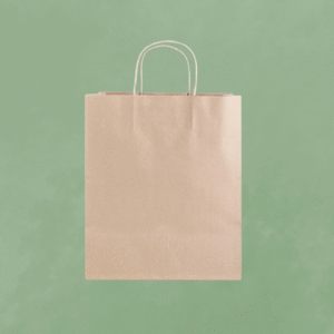 Paper bags with twisted handles