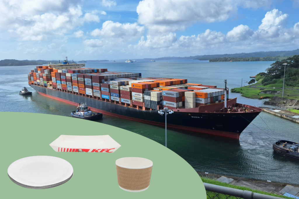 Paper Tableware export-import