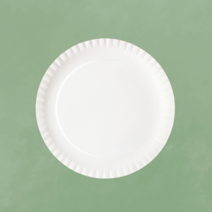 White Paper Plates