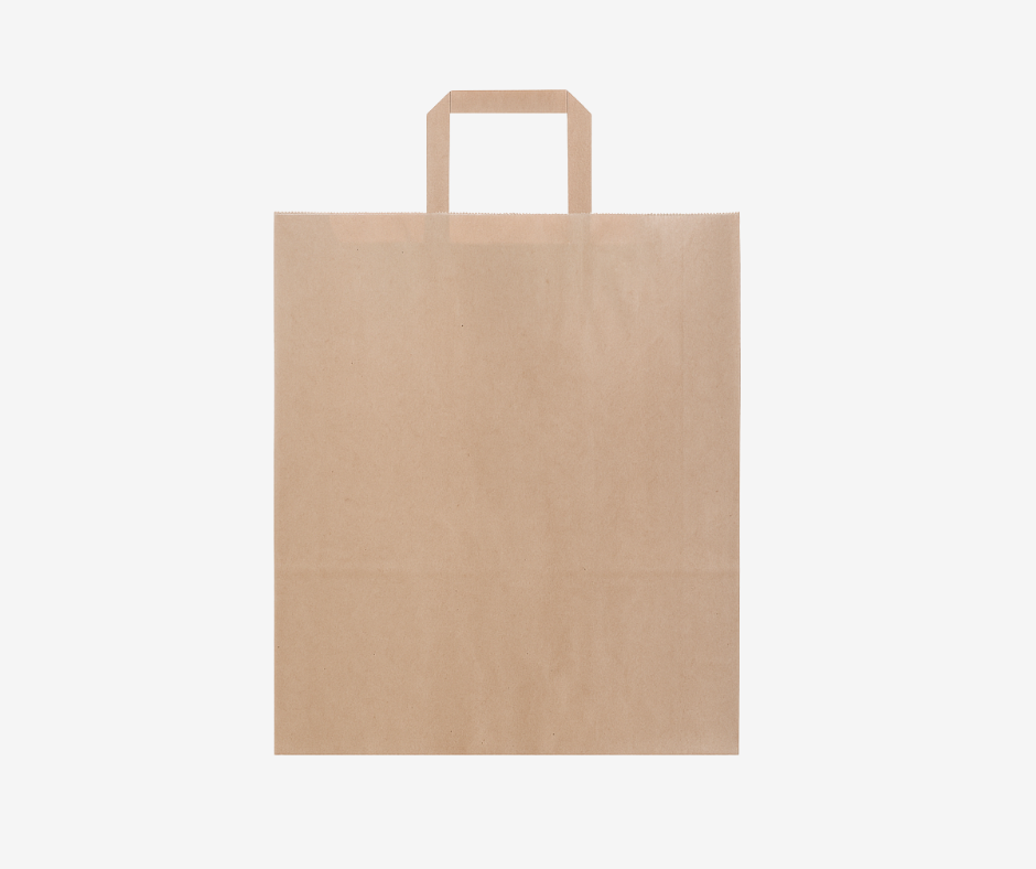 Handle Paper Bags Manufacturer in India | WSCS India